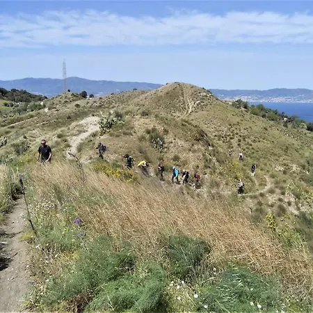 Sant'anna In Oliveta Biologica Con Vista Sullo Stretto Di Messina * Orti