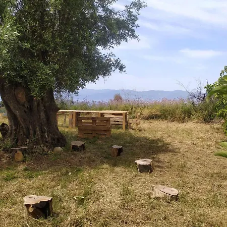 Sant'anna In Oliveta Biologica Con Vista Sullo Stretto Di Messina 营地