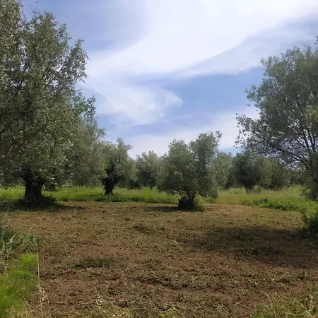 Sant'anna In Oliveta Biologica Con Vista Sullo Stretto Di Messina 营地