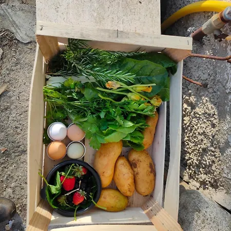 Sant'anna In Oliveta Biologica Con Vista Sullo Stretto Di Messina