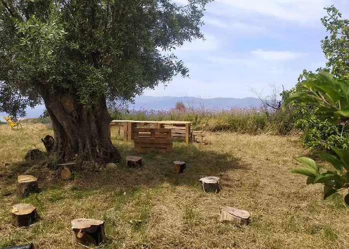Sant'anna In Oliveta Biologica Con Vista Sullo Stretto Di Messina キャンプ場