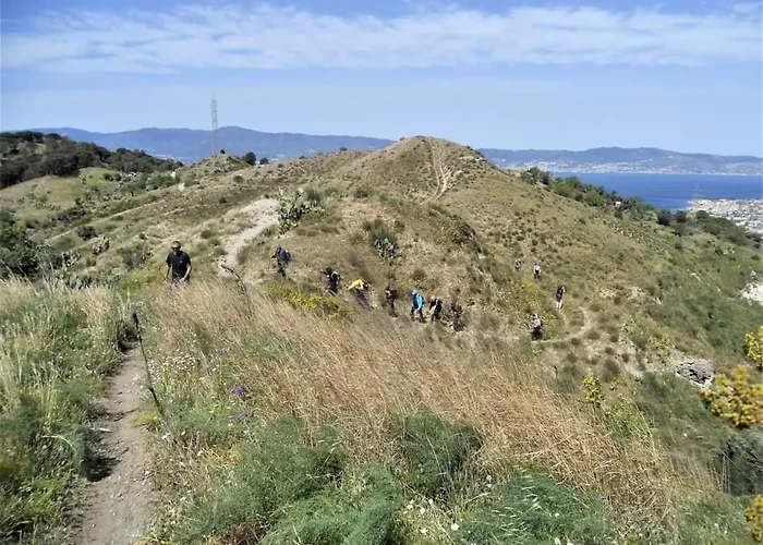 Sant'anna In Oliveta Biologica Con Vista Sullo Stretto Di Messina * Orti