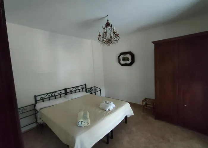 Sant'anna In Oliveta Biologica Con Vista Sullo Stretto Di Messina Orti