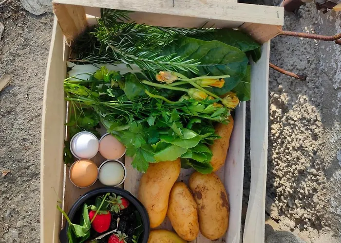 Sant'anna In Oliveta Biologica Con Vista Sullo Stretto Di Messina